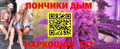 прущие грибы Кохма