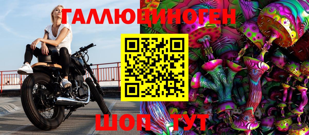 Псилоцибиновые грибы Psilocybe  Вход с VPN  Волжский 