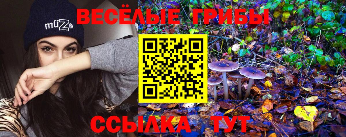Галлюциногенные грибы GOLDEN TEACHER Волжский